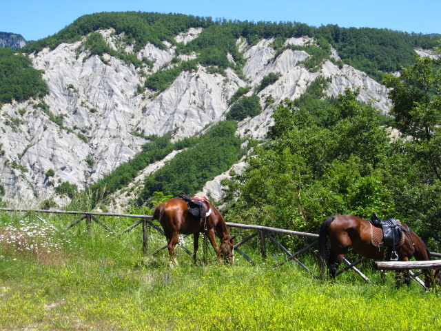 Escursioni a Cavallo