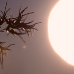 Video “Aria di Ospitalità”