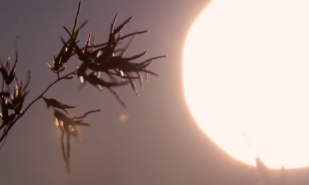Video “Aria di Ospitalità”