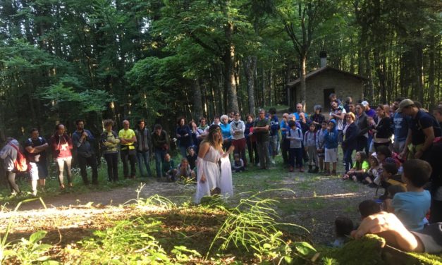 Successone!!! per il concorso Echi nel bosco 2019