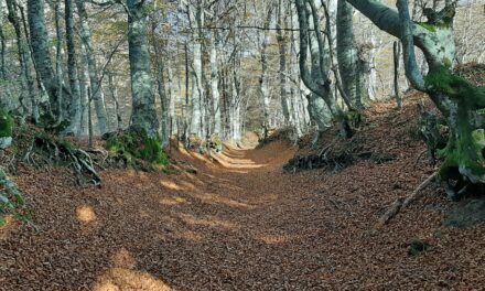 Il comune di Verghereto e il Monte Fumaiolo