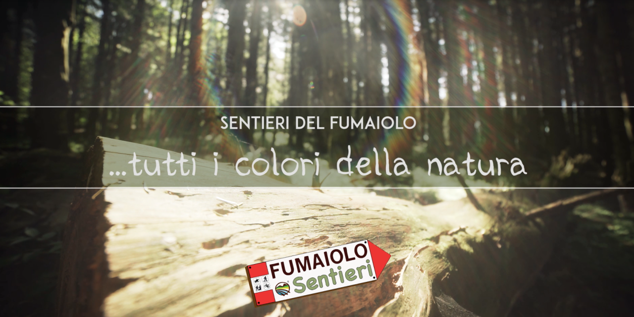 Fumaiolo Sentieri – tutti i colori della Natura