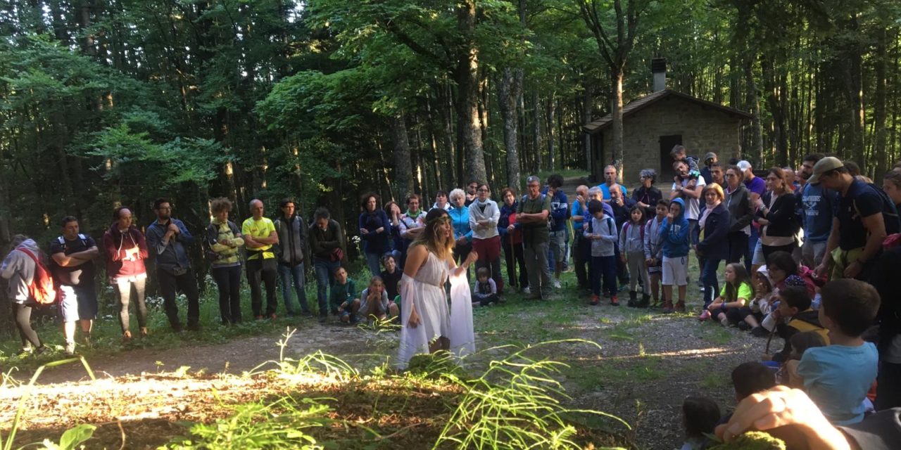 Successone!!! per il concorso Echi nel bosco 2019