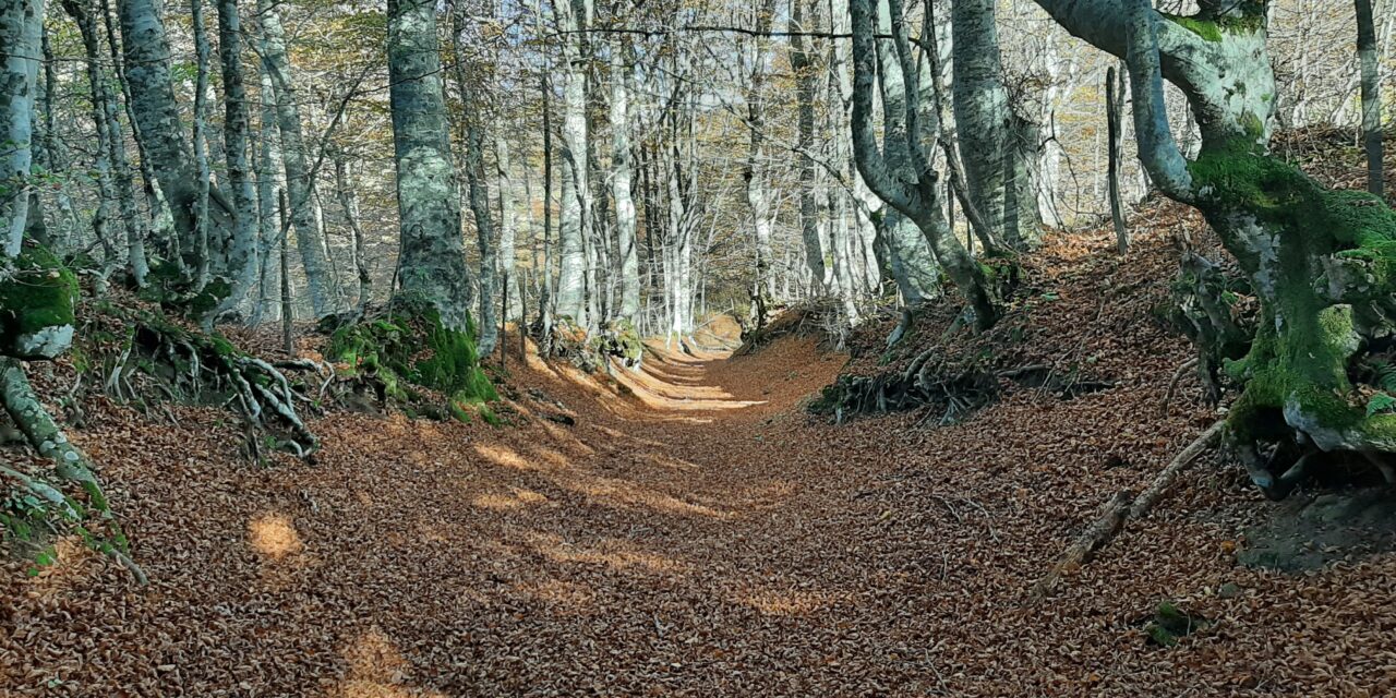 Il comune di Verghereto e il Monte Fumaiolo